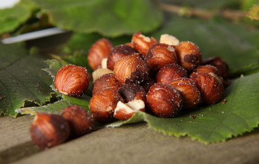 noisettes