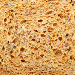 Texture of bread