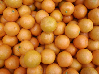 Kumquats at a Farmers Market