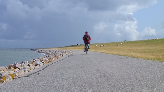 Radfahren am Deich