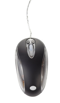 computer mouse isolated on white