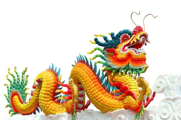  Colorful chinese dragon isolated © kongsky