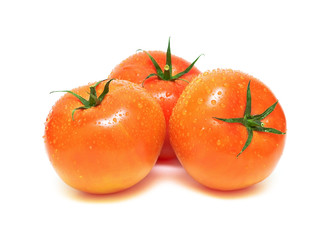 tomatoes in water droplets on a white background
