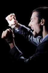 Businessman jailed for his crimes