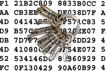 Keys on a sheet with encrypted data