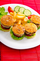 Burgers with french fries in plate