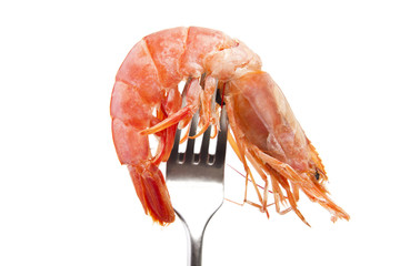 marisco fresco en el tenedor