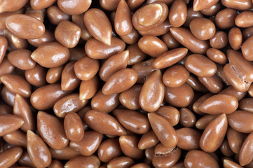 Sunflower grains