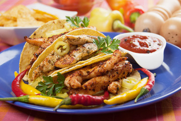 Grilled chicken meat in taco shells