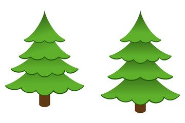 Pine Tree