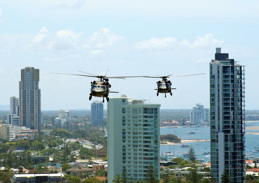 Army Blackhawks