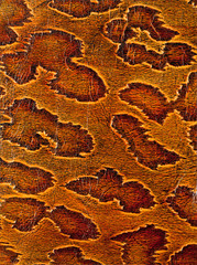 leather texture closeup