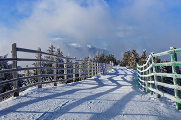 rustic road in winter