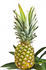 Fototapeta premium Pineapple on the white background