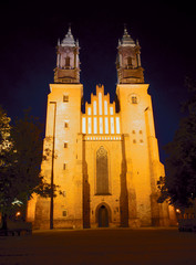 wieże gotyckiej katedry nocą 2