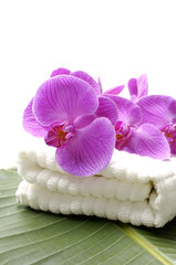 Branch pink orchid and towel on banana leaf in Spa