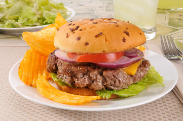 Thick grilled cheeseburger