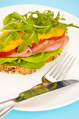 Open sandwich with melted cheese