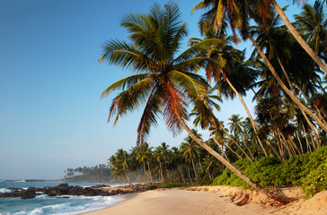 Fototapety  Tropical paradise