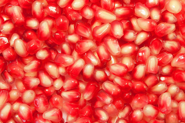 pomegranate background