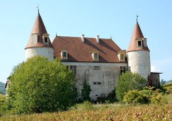 Château dans les vignes sur les collines du Beaujolais