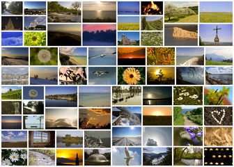 Collage Naturbilder - 36523519