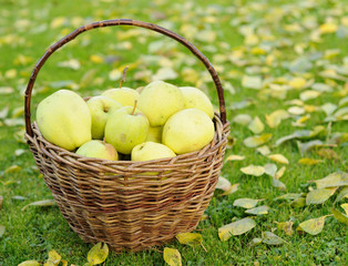 Green apples