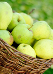 Green apples