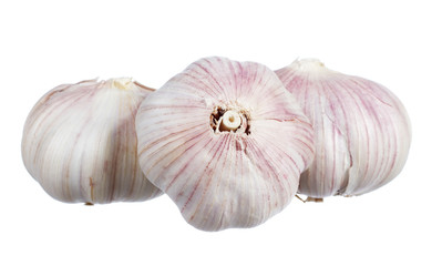 Garlic isolated on white background