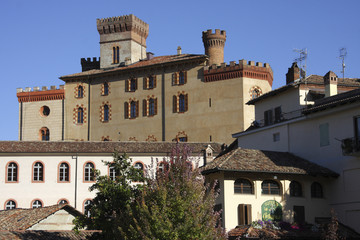 Fototapeta na wymiar Views of the Castle of Barolo