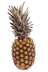 Ananas © Magdziak Marcin