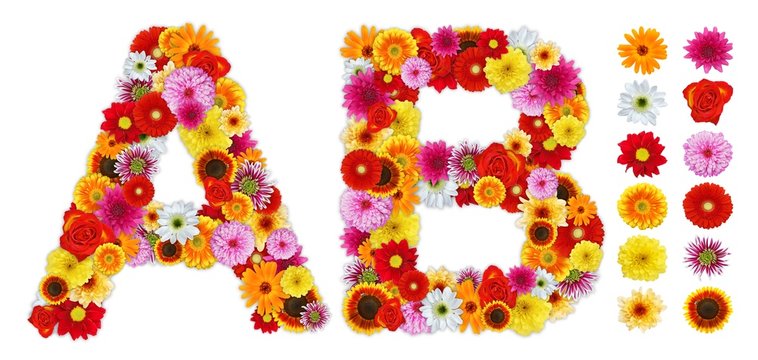 Flower Letters Images – Browse 948,501 Stock Photos, Vectors, and Video | Adobe Stock Flower Letters Images – Browse 948,501 Stock Photos, Vectors, and Video | Adobe Stock