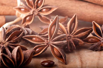 Weihnachten: Zimtstangen und Sternanis © doris oberfrank-list