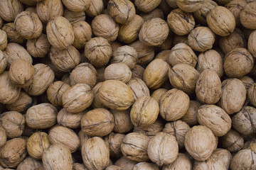 NUECES