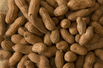 Close up of freshly unearthed peanuts.