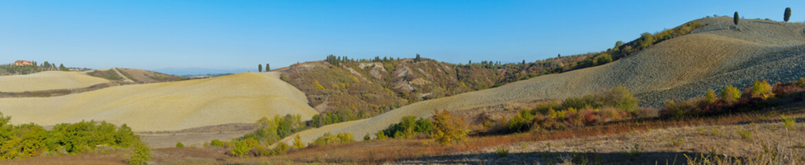 Fototapeta premium campagna toscana panoramica
