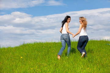 Summer Meadow