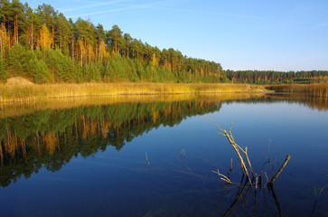 Calm lake - autumn