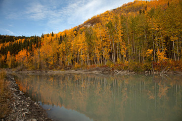 Autumn in Alaska