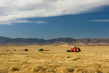 Obraz premium Harvesting (three)