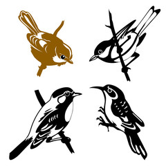 vector set of the birds on white background