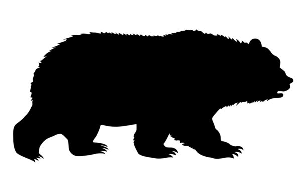 silhouette bear on white background