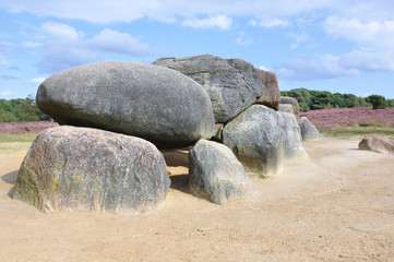 Megalith on a hill with heather and forest