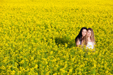 Fototapeta premium Summer Meadow