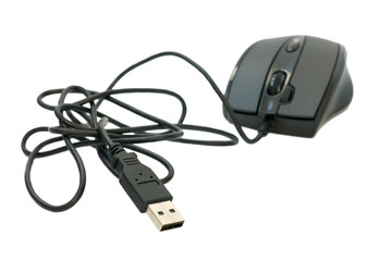 Fototapeta premium Black mouse