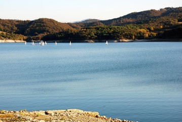 Fototapete bei efototapeten.de bestellen   