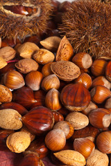 Nuts background