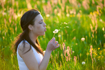 Summer Meadow
