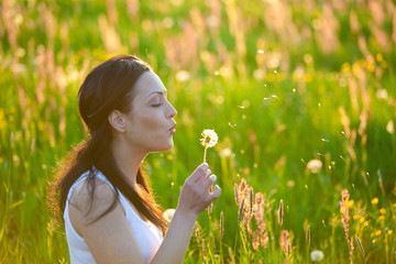 Summer Meadow