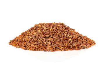 Bilta Seed
